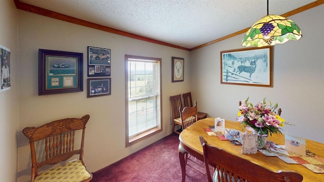 20649 Julia Rd, Clifton, WI 54618 - carpeted dining room with lofted ceiling, ornamental molding, and a textured ceiling