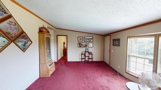 20649 Julia Rd, Clifton, WI 54618 - interior space with ornamental molding, lofted ceiling, and a textured ceiling
