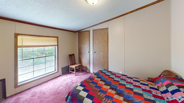 20649 Julia Rd, Clifton, WI 54618 - carpeted bedroom with lofted ceiling, crown molding, a textured ceiling, and two closets