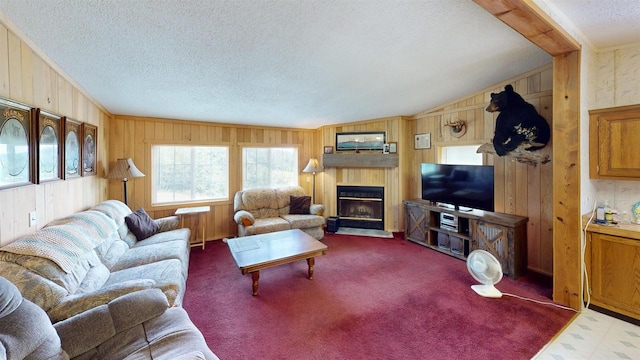 20649 Julia Rd, Clifton, WI 54618 - living room with vaulted ceiling, a textured ceiling, and wood walls