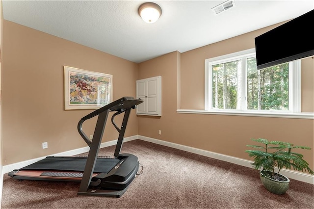 exercise room featuring carpet floors