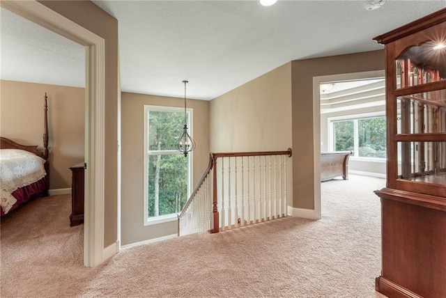 corridor with a wealth of natural light and light colored carpet