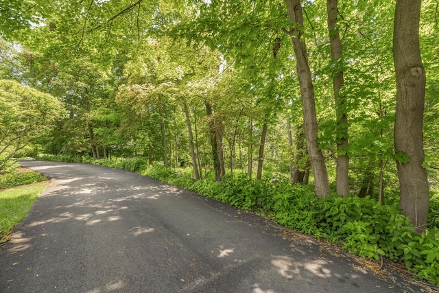 LT23 N Lower Gardens Rd, Fontana WI, 53125 land for sale