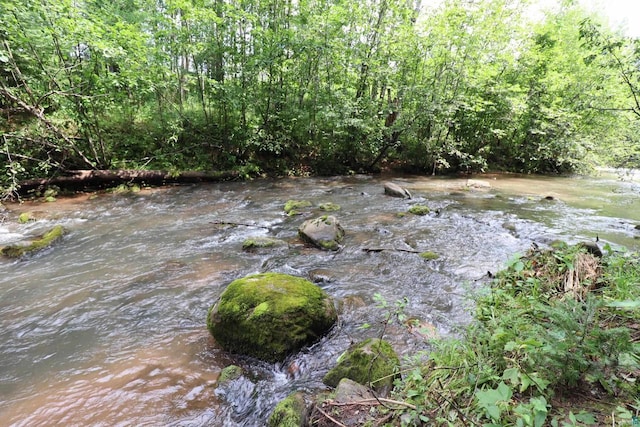 view of local wilderness