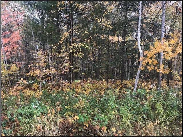 LOT113 162nd Ave, Balsam Lake WI, 54810 land for sale