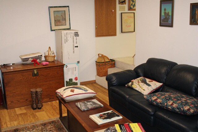 living room with wood-type flooring