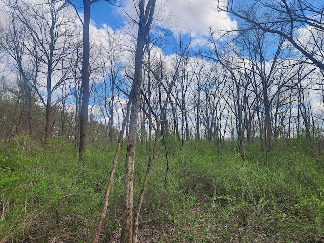 LOT1 Elizabeth St, Muscoda WI, 53573 land for sale