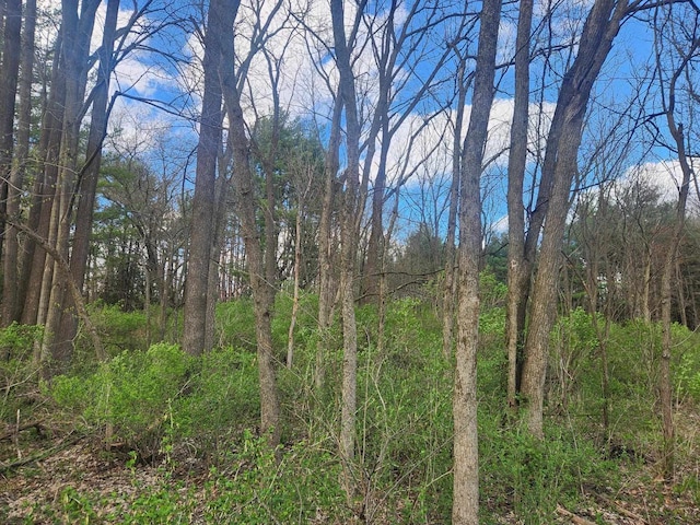 Listing photo 3 for LOT1 Elizabeth St, Muscoda WI 53573