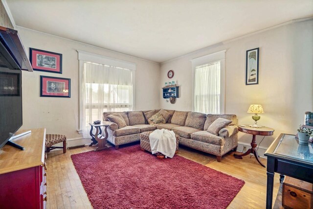 living room featuring crown molding, light wood-type flooring, and a healthy amount of sunlight