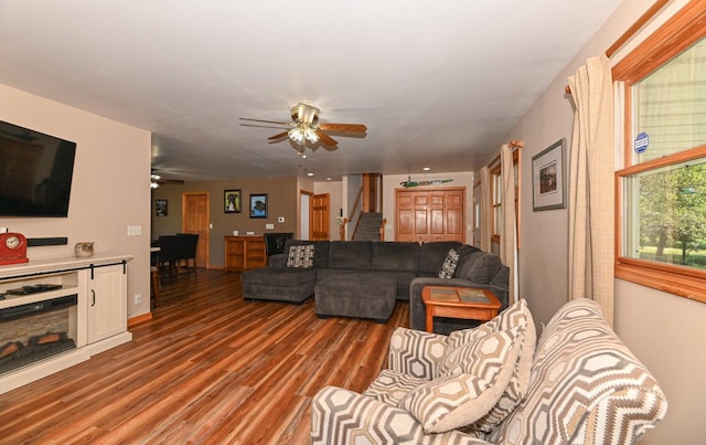 living room featuring ceiling fan and wood-type flooring