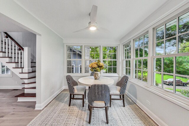 dining area featuring light hardwood / wood-style flooring, ornamental molding, and ceiling fan