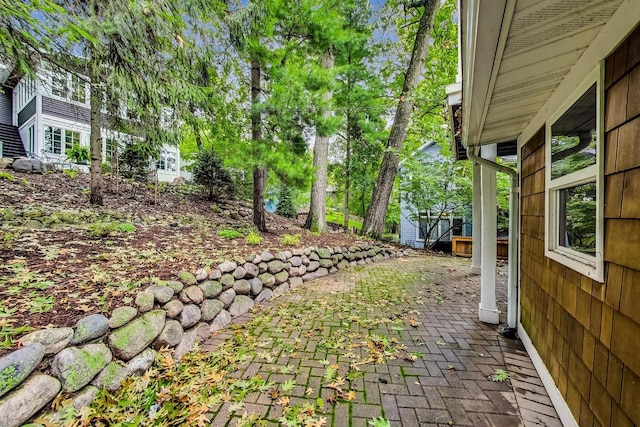 view of yard featuring a patio