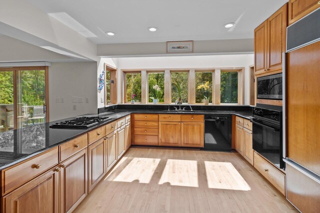 kitchen featuring kitchen peninsula, light hardwood / wood-style flooring, plenty of natural light, and black appliances