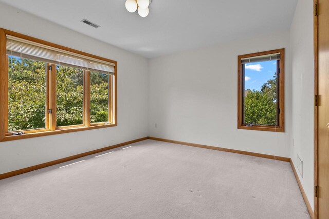 carpeted spare room with plenty of natural light