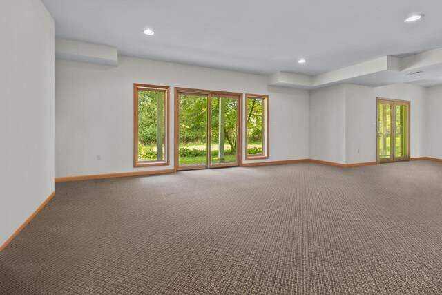 spare room with carpet floors