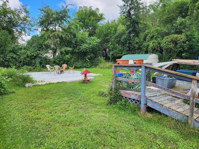 view of yard featuring a shed and a patio area