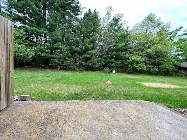 view of yard featuring a patio