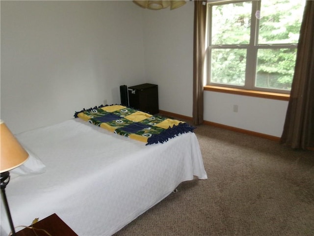 bedroom featuring carpet flooring and multiple windows