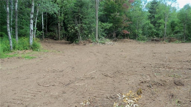 Listing photo 3 for 90ACRES Krnstead Rd, Mellen WI 54546