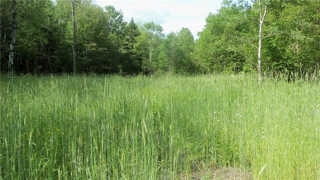 90ACRES Kornstead Rd, Mellen, WI 54546