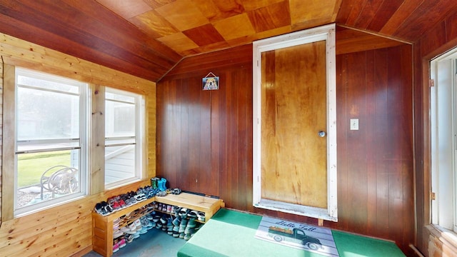 interior space with wood walls, a healthy amount of sunlight, and lofted ceiling