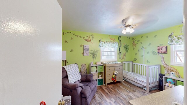 bedroom featuring multiple windows, ceiling fan, a closet, and wood-type flooring