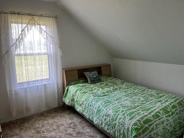 bedroom with lofted ceiling, carpet floors, and multiple windows