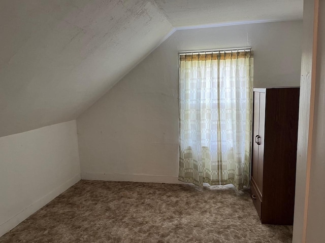 additional living space with a textured ceiling, carpet floors, and vaulted ceiling