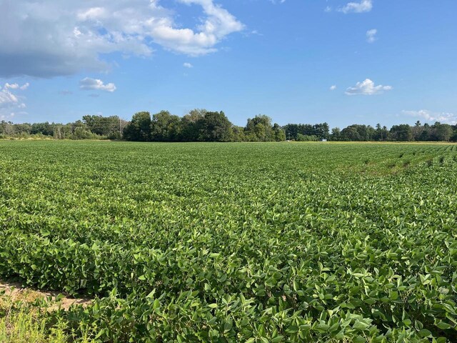 view of landscape featuring a rural view