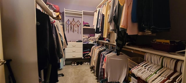 walk in closet featuring light colored carpet