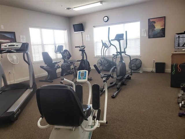 workout area featuring carpet