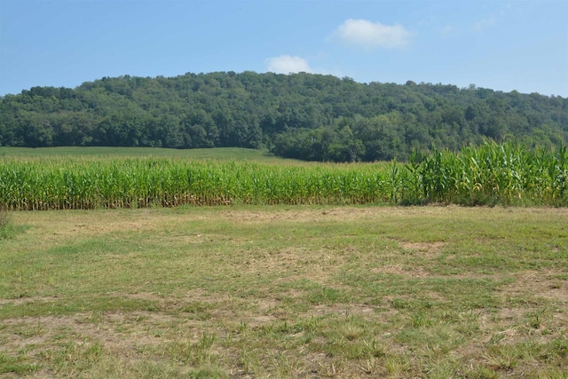 view of local wilderness with a view of trees and a rural view