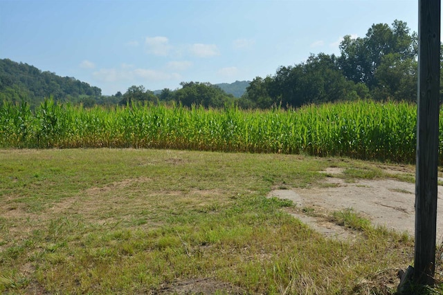 view of yard with a rural view