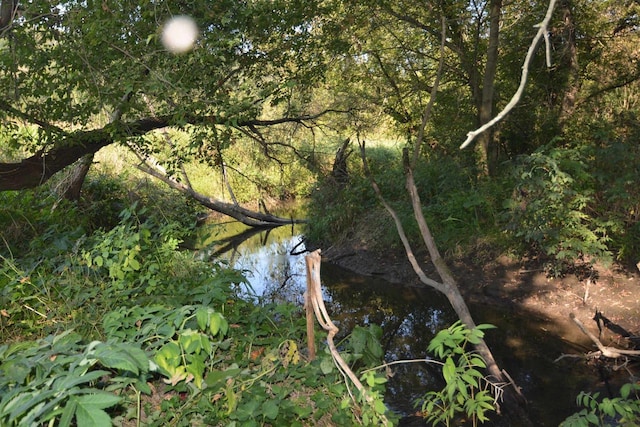 view of landscape with a forest view and a water view