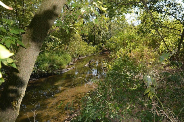 view of local wilderness with a forest view