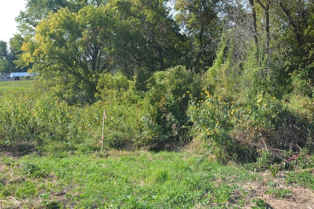 view of nature featuring a wooded view