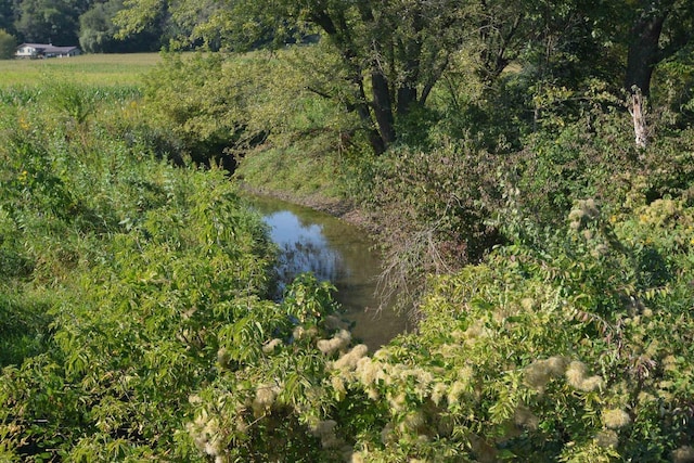 view of water feature featuring a view of trees