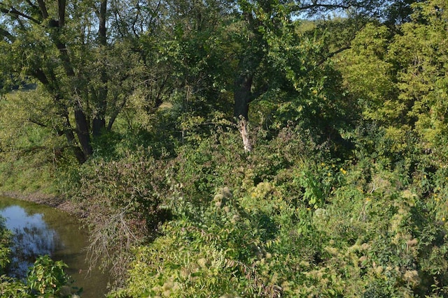 view of nature featuring a water view and a wooded view