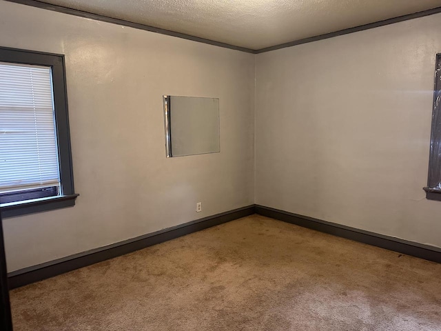 carpeted empty room featuring a textured ceiling