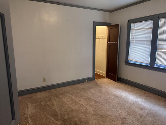 carpeted spare room with ornamental molding