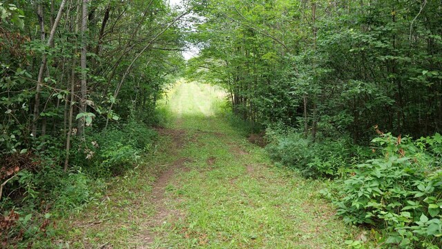 Listing photo 2 for 160AC Cedar Rd, Merrill WI 54452