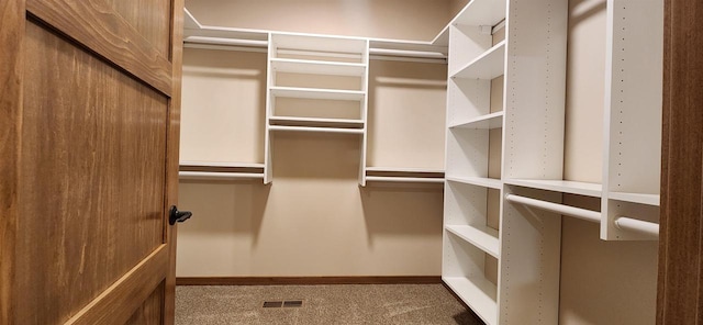 walk in closet with carpet flooring