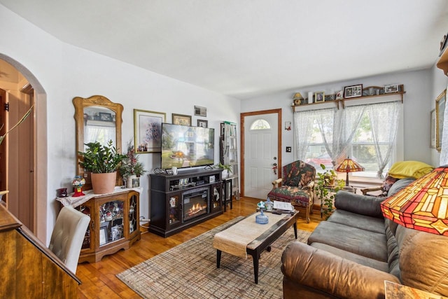 living room featuring light hardwood / wood-style flooring