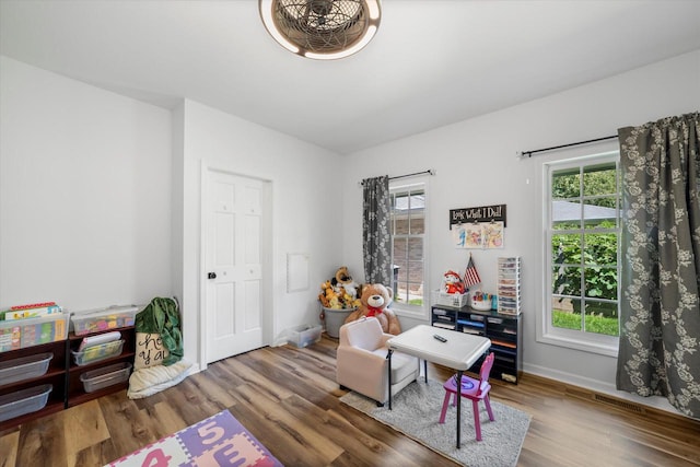 playroom with hardwood / wood-style flooring and a healthy amount of sunlight