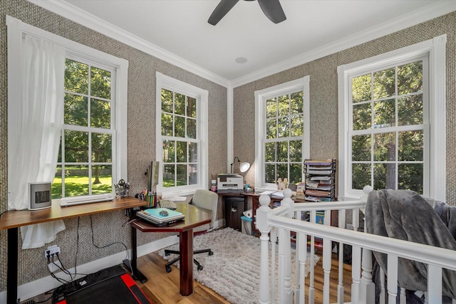 bedroom featuring a crib, hardwood / wood-style flooring, multiple windows, and ceiling fan