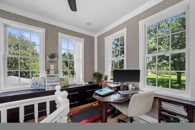 office with crown molding and hardwood / wood-style floors