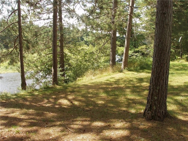 view of landscape featuring a water view and a wooded view