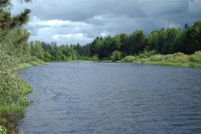 property view of water with a wooded view