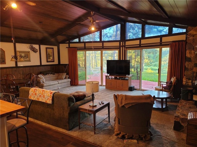 carpeted living area with wooden ceiling, wainscoting, plenty of natural light, and lofted ceiling with beams