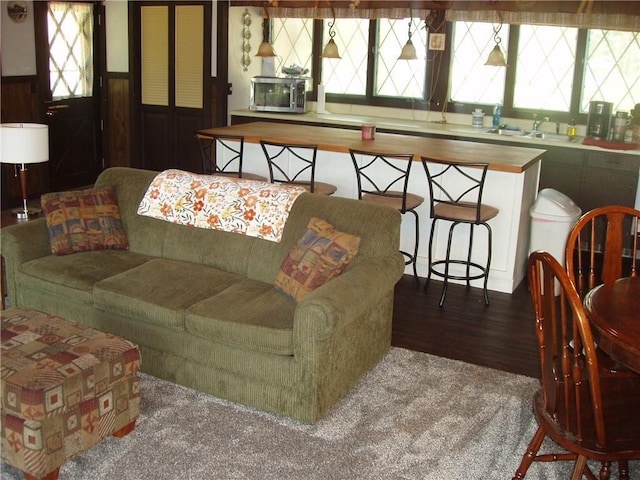 living room featuring a healthy amount of sunlight, a wainscoted wall, and wood finished floors